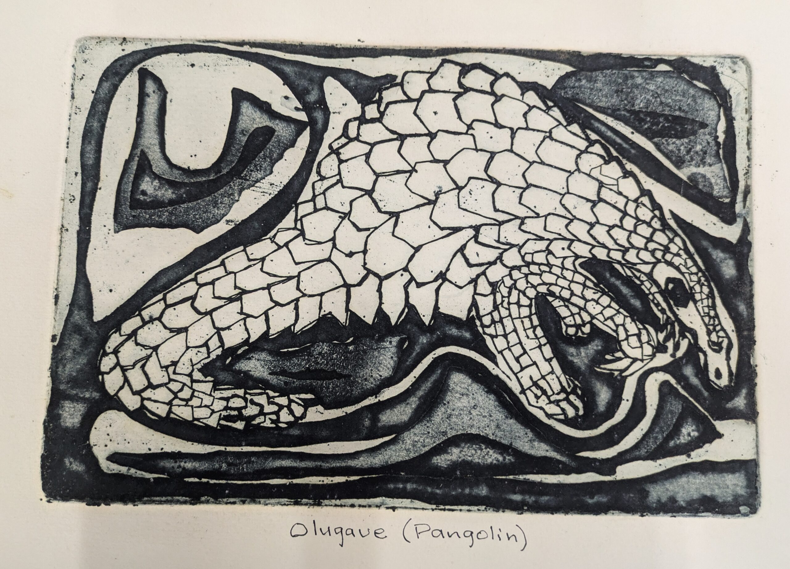 Newsletter #1 – October 31, 2025